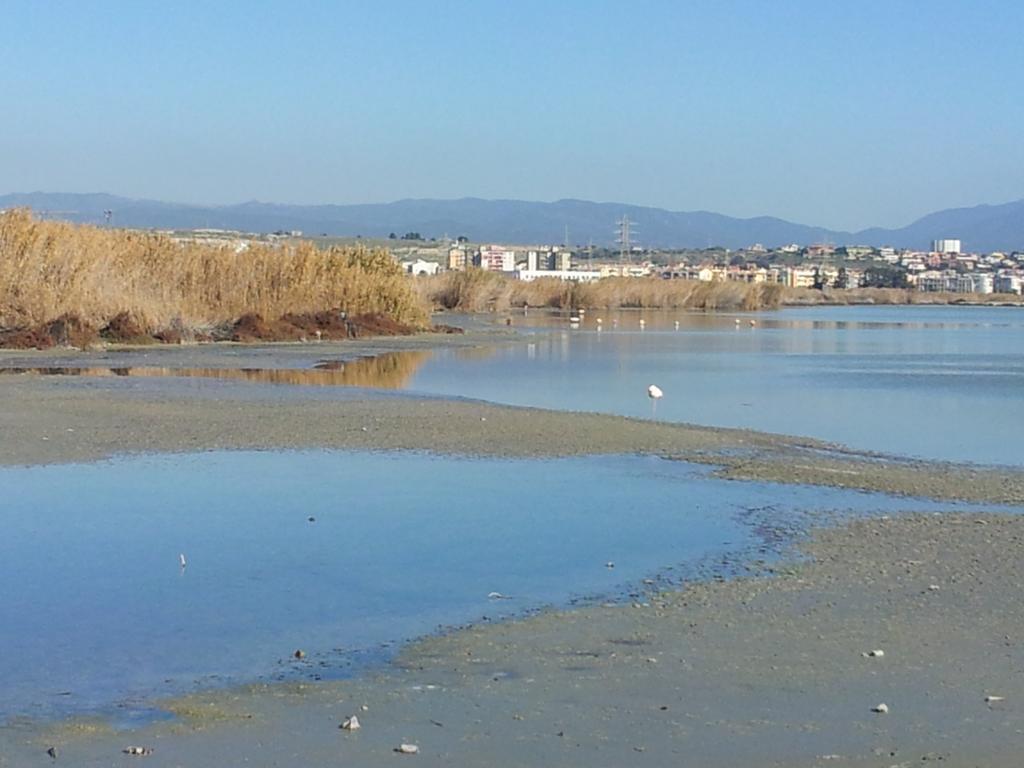 Appartamento Il Lilla Cagliari Szoba fotó